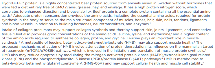 Beef Protein - Vanilla