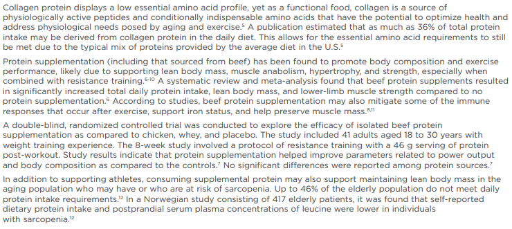 Beef Protein - Chocolate