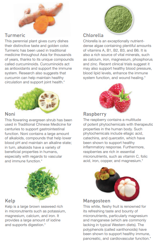NutriDyn Fruits & Greens Grape